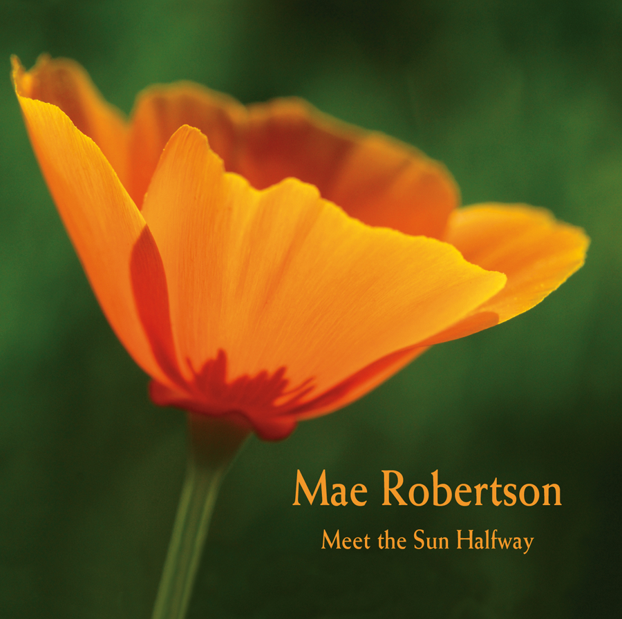 Meet the Sun Halfway Cover